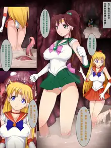 Sailor Senshi Ishu Kan Tettei Ryoujoku 2, 中文