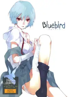 Bluebird, English