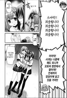 Onegai Sister Plus Final | 부탁해 시스터 플러스 파이널, 한국어