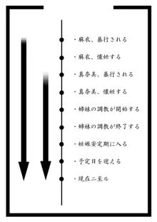 娘ボテ ～私達の36週間～ Vol.4, 日本語