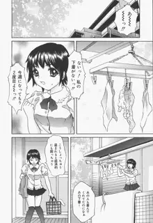 ブルマ狂の詩, 日本語