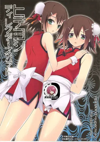 Hideyoshi Director's Cut, 中文