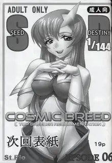 COSMIC BREED 5, 中文