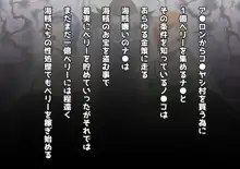 海賊ハーレムみかん編, 日本語