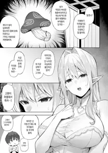 Isekai Shoukan IV Elf na Onee-san to Fushigi na Kinoko, 한국어