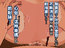 Saimin Seikyouiku 13, 中文