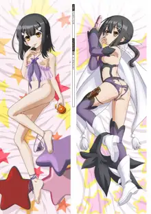 DM Dakimakura Art Collection EX 1.0+2.0+03, 日本語