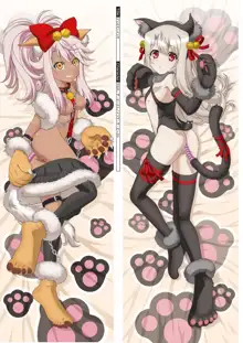 DM Dakimakura Art Collection EX 1.0+2.0+03, 日本語