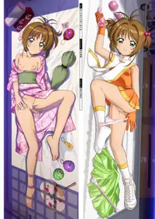 DM Dakimakura Art Collection EX 1.0+2.0+03, 日本語