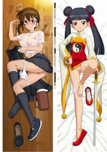 DM Dakimakura Art Collection EX 1.0+2.0+03, 日本語