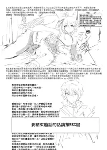 ELSWORD:TYPE-H, 中文