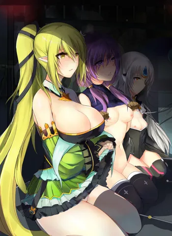 ELSWORD:TYPE-H, 中文