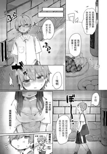 Tonari no Loli Onee-san ga Zenbu Warui, 中文