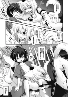 Momiji Onee-chan wa Hatsujouki!!, 中文