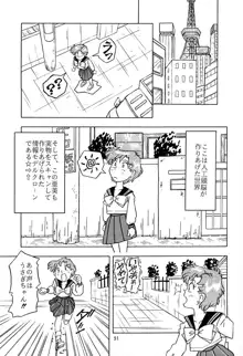 乙姫宮vol.8, 日本語