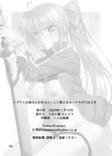 Signum Onee-san ga Anata-kun ni Oshieru Sex no Tehodoki, 中文