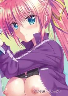 Signum Onee-san ga Anata-kun ni Oshieru Sex no Tehodoki, 中文