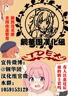 Chikara Aru Succubus wa Seiyoku o Mitashitai dake. 1, 中文