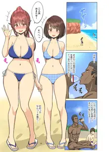 好きだったのに…夏, 日本語