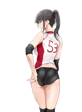 Volleyball, 日本語