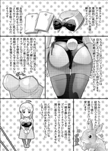 TS探偵新妻浩美 大学生失踪事件を追え!戦慄のバニーガール, 日本語