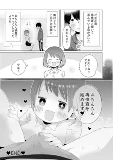 おちん○ん検査官の日常, 日本語