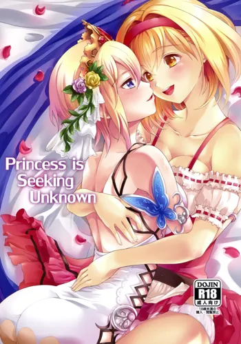 Princess is Seeking Unknown, 中文