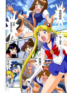 Bishoujo Senshi Sailor Moon Yuusei kara no Hanshoku-sha, 中文