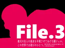 園ジェルに性的行為をしてもいい世界 Vol.3, 日本語