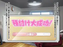 絶対♥孕妹～ビッチ妹を兄として正しく導き孕ませる～, 日本語