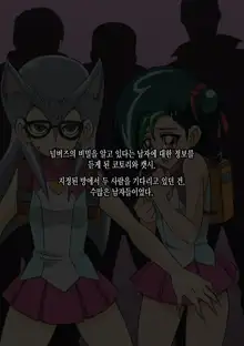 Ori no Naka no Kotori, 한국어