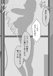 『ネトラセ』 ～東雲皐月の場合～, 日本語