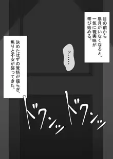 『ネトラセ』 ～東雲皐月の場合～, 日本語