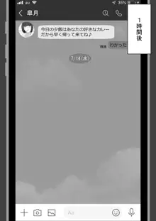 『ネトラセ』 ～東雲皐月の場合～, 日本語