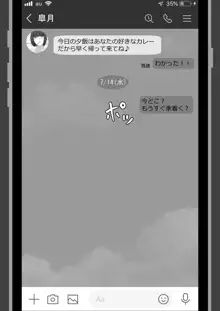 『ネトラセ』 ～東雲皐月の場合～, 日本語