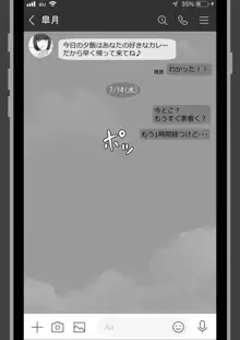 『ネトラセ』 ～東雲皐月の場合～, 日本語