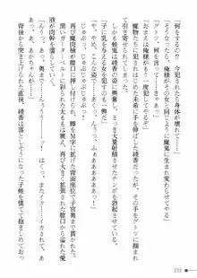 天聖ノ退魔師 綾香 魔宮の生贄, 日本語