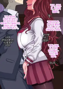 "Sensei" ga Daisuki na Onnanoko ga Honto wa Dame nano ni... Gaman Dekinakute Sensei to Iippai Ecchi shichau CG Shuu, 한국어