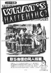 ライ麦畑で金メダル, 日本語