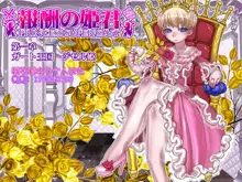 Houshuu no Himegimi Princess Super Slut, 中文