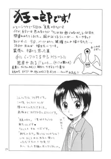 息子の恋人, 日本語