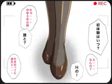 ボクの巨乳母さんのエッチな様子を動画サイトに公開してやる!, 日本語