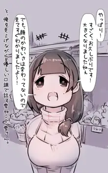 子供の頃憧れていたお姉さんに十数年ぶりに再会したら全然変わっていなくてまた好きになって告白する話。プラス, 日本語