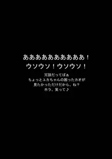 カメの恩返し, 日本語