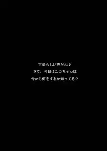 カメの恩返し, 日本語