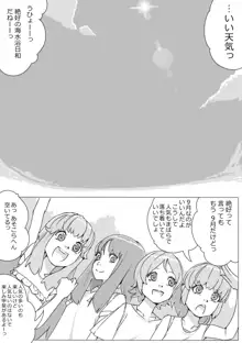 Untitled Precure Doujinshi, 日本語