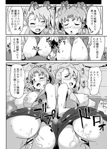 ほ？はいほー!姫なのです!, 日本語