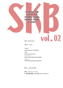 SKB vol. 2, English