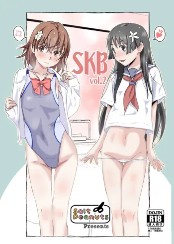 SKB vol. 2, English