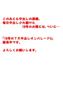 18号ＮＴＲ 中出しオンパレード 1-3, 日本語